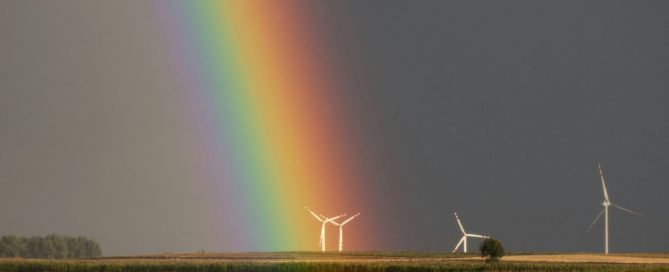 Dia Internacional contra el cambio climático. Foto Pavel Fijalkowski para Pexels.